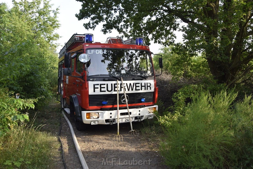 Waldbrand Koeln Hoehenhaus Hoehenfelder Mauspfad P157.JPG - Miklos Laubert